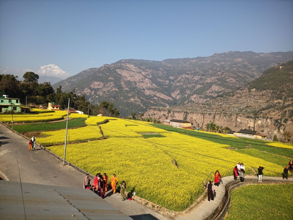 रत्नेचौरका तोरीबारीमा टिकटक बनाउने भीड