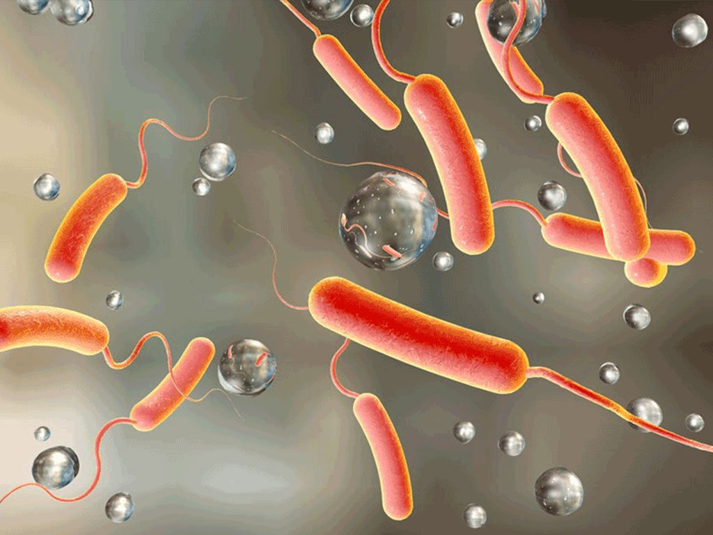 हैजाविरुद्धको खोप ९० प्रतिशतलाई लगाइयो