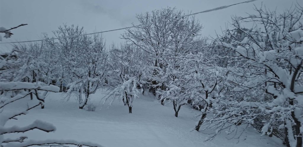 हुम्लामा भारी हिमपात हुँदा किसान खुसी, जनजीवन अस्तव्यस्त