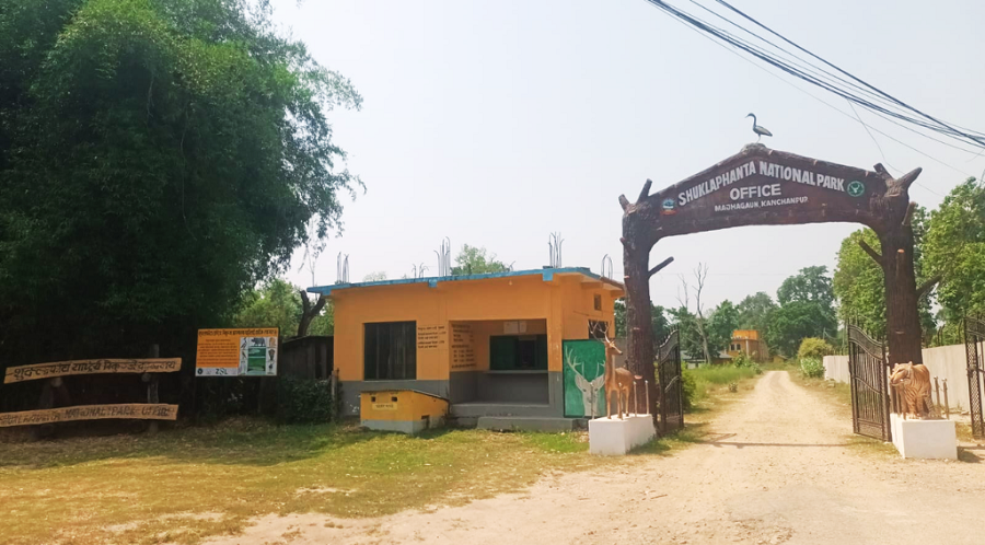 निकुञ्जभित्र च्याउ टिप्न गएका महिला आए परिवारको सम्पर्कमा