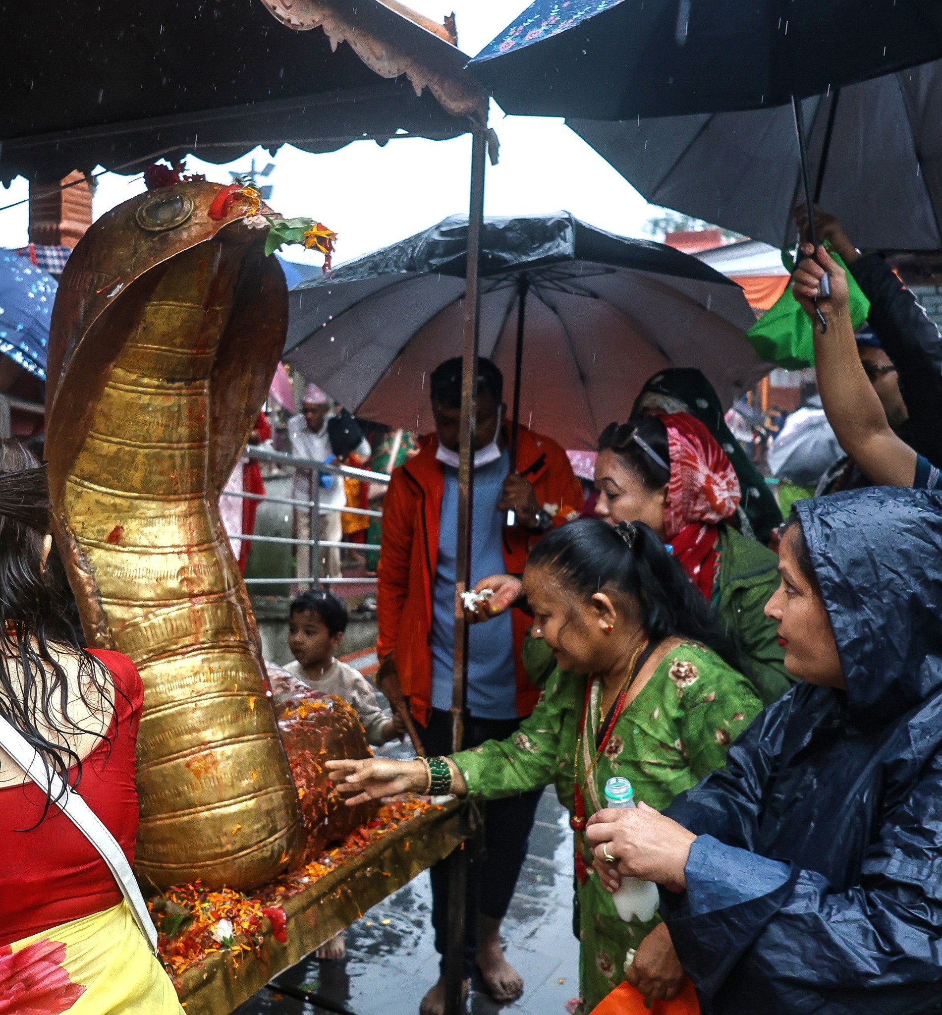 आज श्रावण शुक्ल पञ्चमी : नागको पूजा, आराधना गरी नागपञ्चमी पर्व मनाइँदै