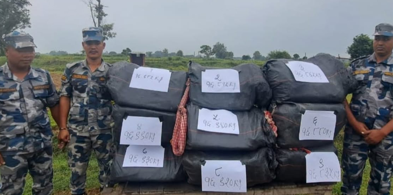 सिरहाको झाझपट्टीबाट १५२.१६ केजी गाँजा बरामद