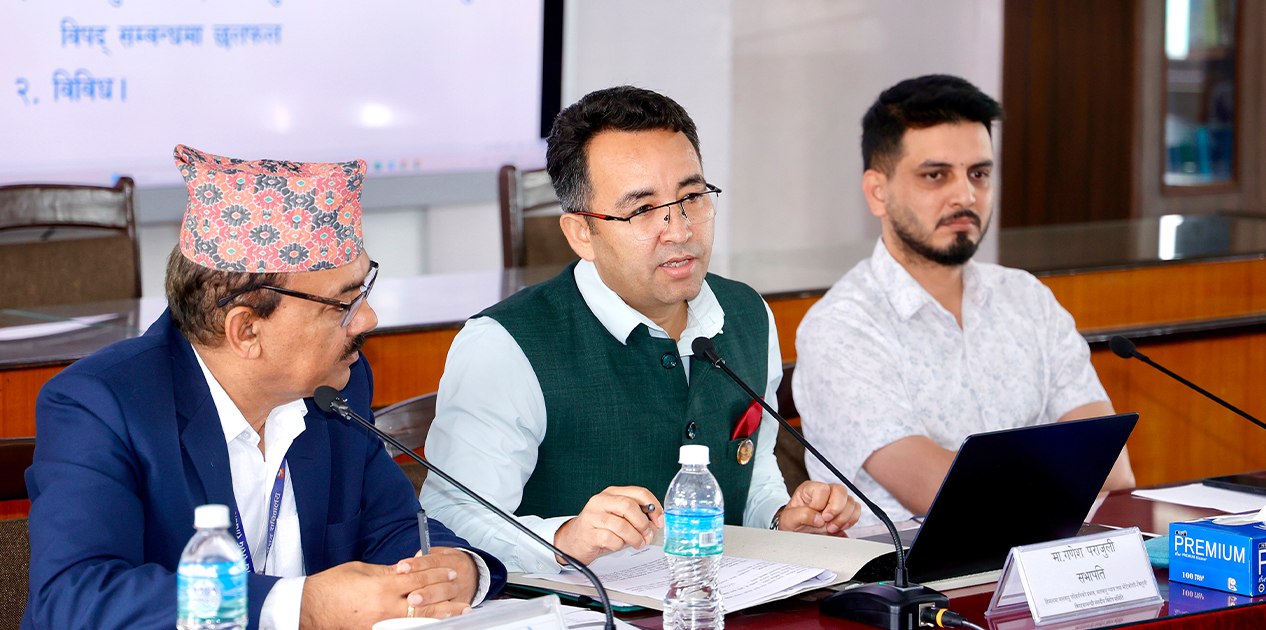 ‘विपद्पछि राज्य नागरिकको साथमा छ भन्ने अनुभूति दिलाउनुपर्छ’ : पराजुली